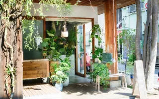 北中植物商店 三軒茶屋店