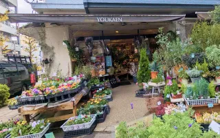 ユー花園 下北沢本店